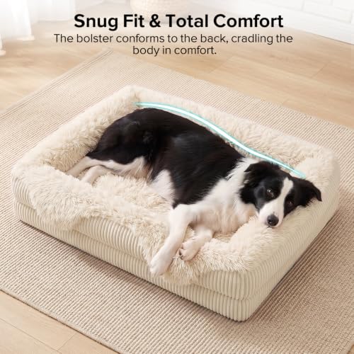 Orthopedic Dog Bed for Medium Sized Dog (Cream / 35"L x 25"W x 6.5"T)