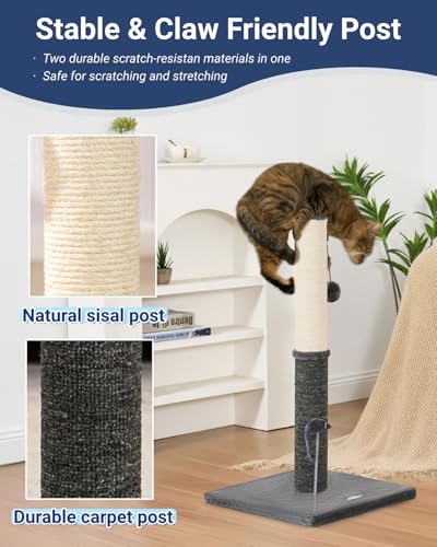 Tall Cat Scratching Post (29.5" / Smokey Gray)