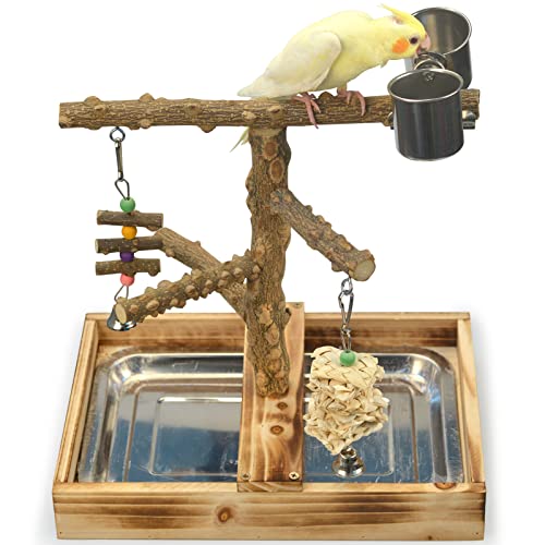 Natural Wood Bird Toys Playground
