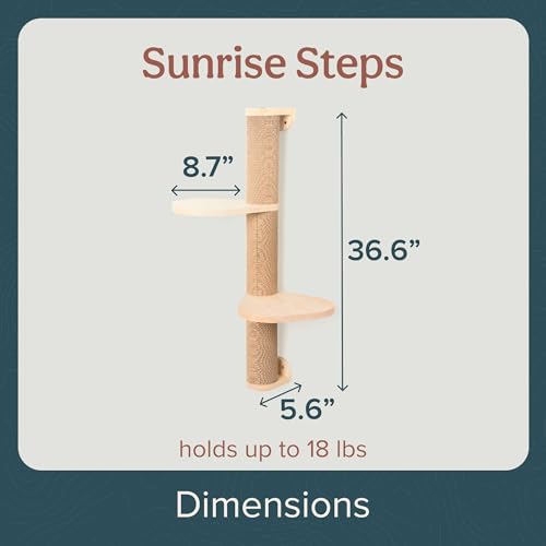 Cat Climbing Wall System (Wall Mount / Ascentials Sunrise Steps)