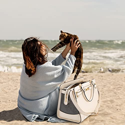 Fashion Pet Carrier Dog Cat Carrier Purse Soft (Beige)