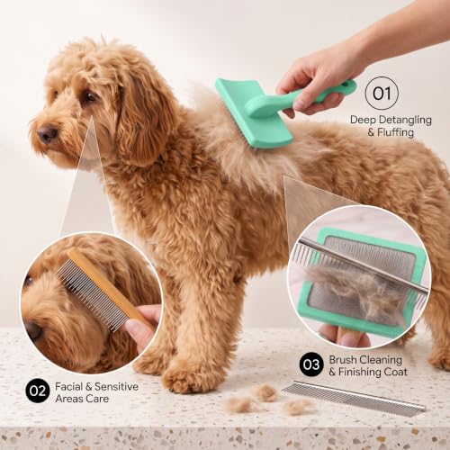 Slicker Brush for Dog (Large / Green)