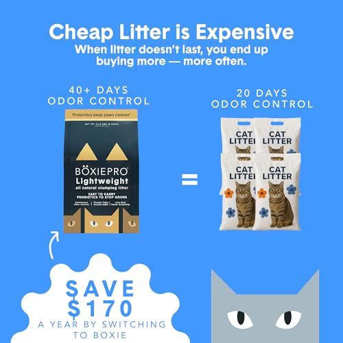 Boxie Probiotic Natural Lightweight Cat Litter 40+ Day Odor Control 11.5 lb (11.5 lb)