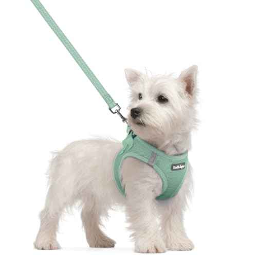Dog Harness Small Sized and Leash Set (Moss Green / S (chest: 15.1 - 16.5"))