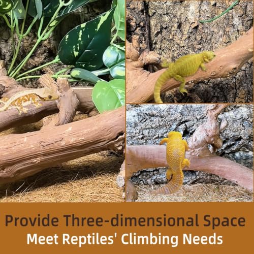 2PCS Snake Climbing Branch (Unpolished Reptile Climbing Wood)