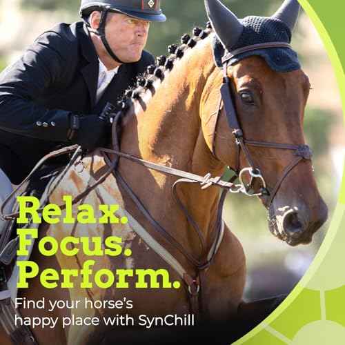 SynChill Horse Calming Supplement Gel (10-Pack)