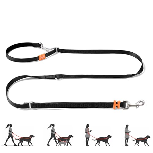 Multifunctional Adjustable Hands Free Leash (Black / Standard)