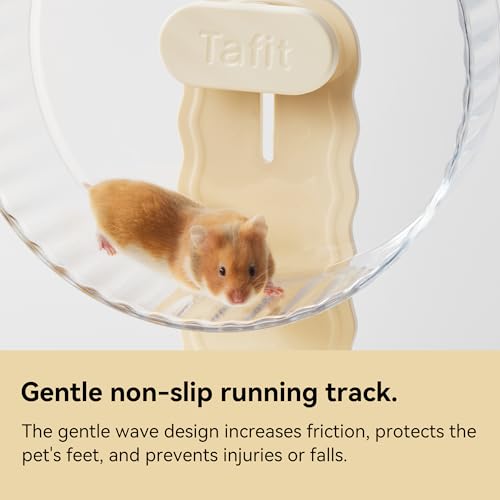 Super‑Silent Hamster Exercise Wheel (10.2inch / Transparent)