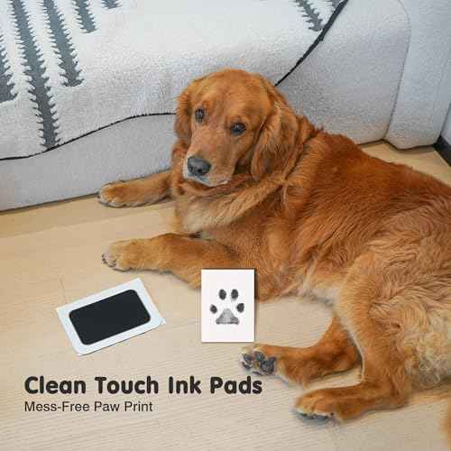 Inkless Paw Print Kit for Dogs (Black/Gold Pad,Vintage White Wood Frame / 4-Pack,Large)