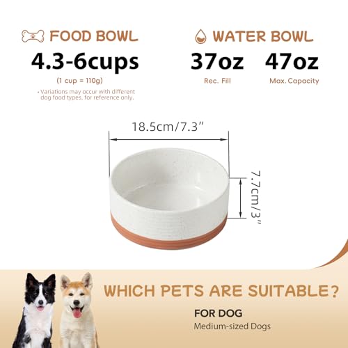 Dog Bowls Ceramic (1 Bowl-Vanilla White / 5CUPS)
