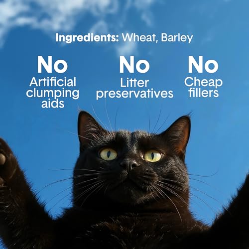 Boxie Unscented Natural Lightweight Cat Litter 30+ Day Odor Control 16.5 lb (3 MONTH (16.5 LB))