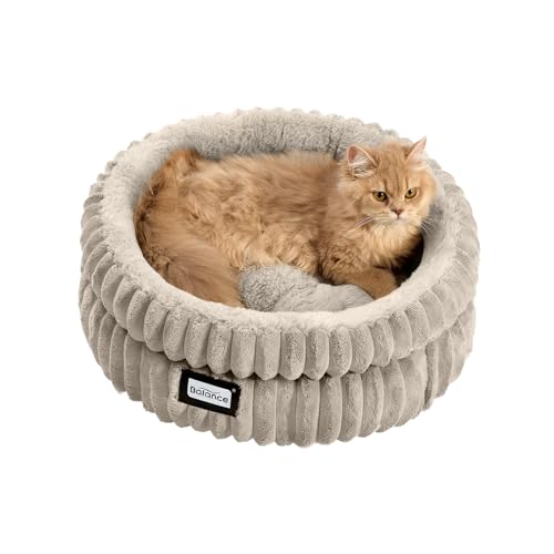 Cat Bed Kitten Bed (20.0"L x 20.0"W x 8"Th / Wind Chime)