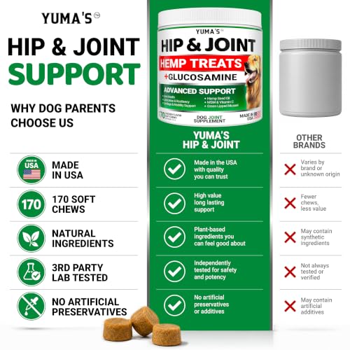 Hemp Hip and Joint Supplement for Dogs (Hemp Hip & Joint Chews / 170 Treats)