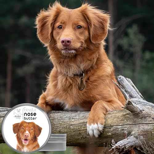 Nova Scotia Duck Tolling Retriever Unscented Nose Butter (Nova Scotia Duck Tolling Retriever / 2 Ounce)