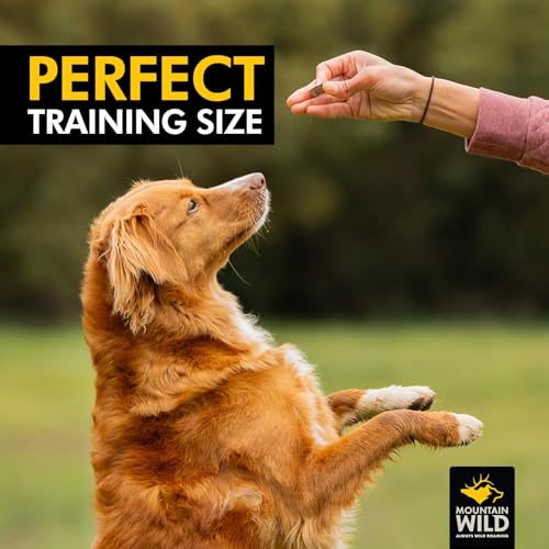 Training Treats for Dogs (4 Ounce (Pack of 1))