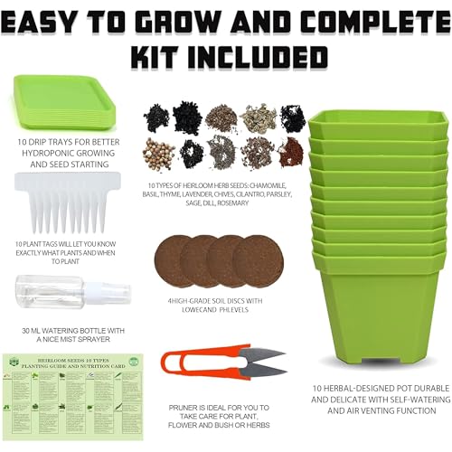 10 Herb Seeds Garden Starter Grow Kit with Green Pots (green)
