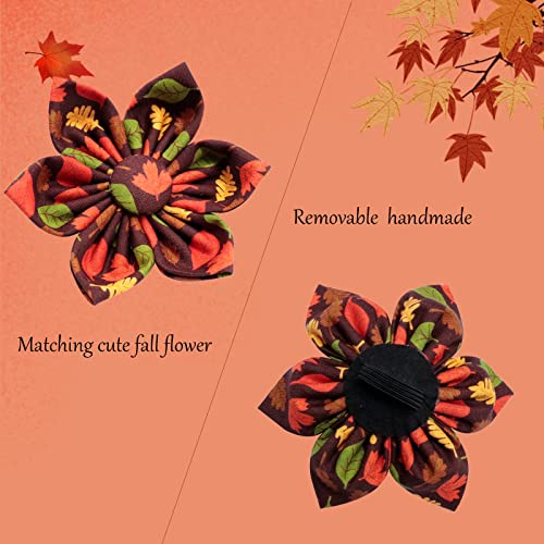 Fall Dog Collar with Bow (S / mapleleaf flower)