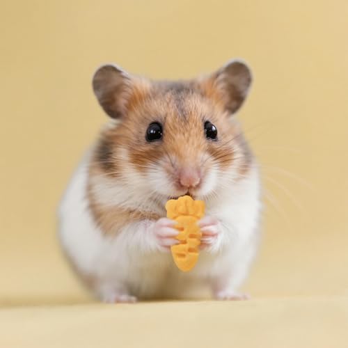 Hamster & Gerbil Treats
