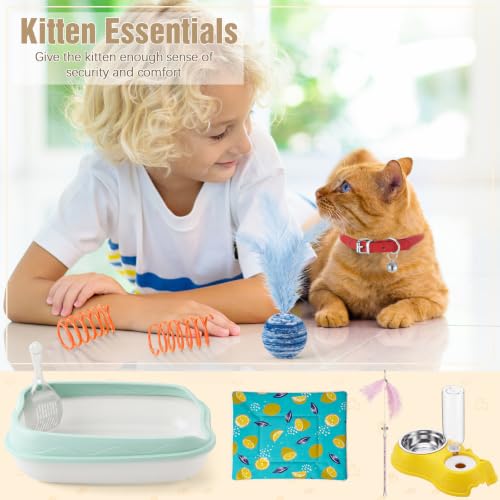 10 Pcs Kitten Starter Kit for Indoor (Cute / Small / Multicolor)