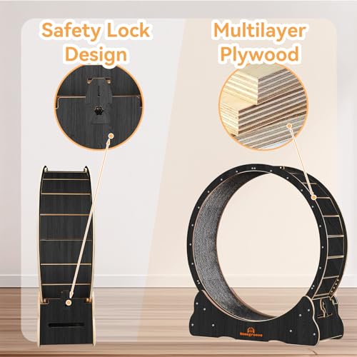 Cat Wheels for Indoor Cats (XL / Black)