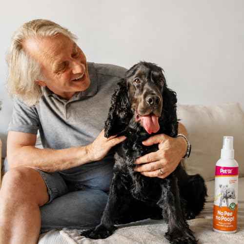Dog Potty Training Spray No Pee No Poop (8 Ounce)