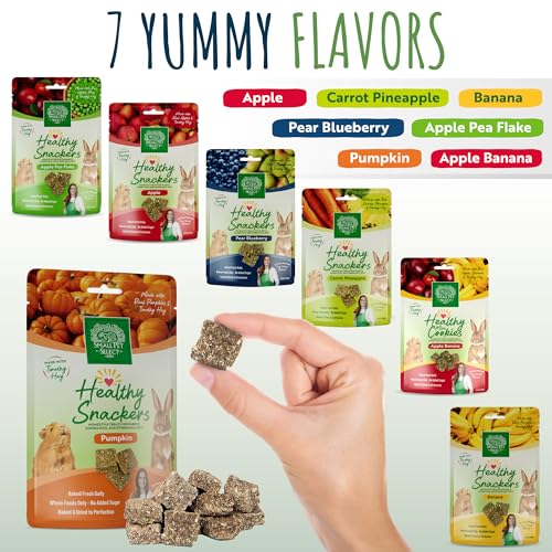 Healthy Snackers (2 Ounce (Pack of 1))