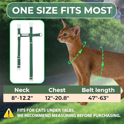 Cat Harness and Leash Set (Green)