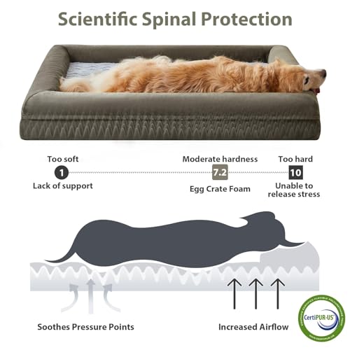 XXL Extra Large Orthopedic for Senior Dog BedComfy Sleeping (Dark Green / XX-L (45x35x7in))