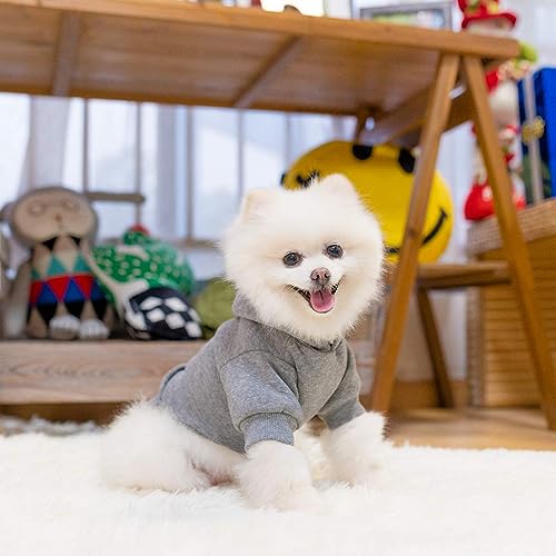 Basic Dog Hoodie (Grey / Medium)