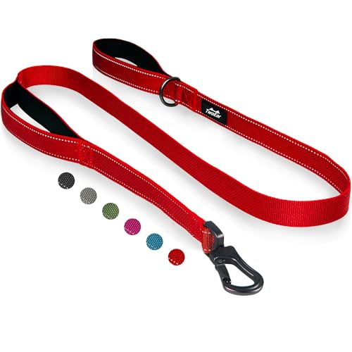 5FT 1IN Heavy Duty Dog Leash for Large Dogs with 2 Padded Handles (Red / 1 in x 5 ft)