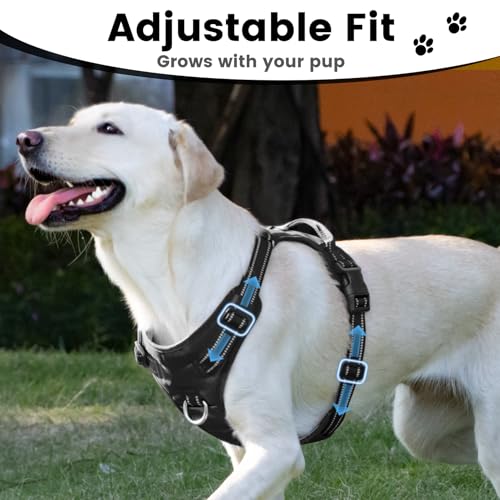 No Pull Dog Harness Front Clip Handle (Black / L(Neck:20.9-31.5",Chest:24.8-37.4"))