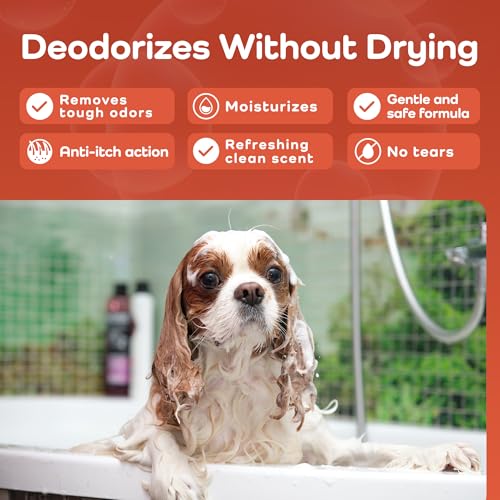 Sensitive Care (Cavalier King Charles Spaniel / 16 Fluid Ounces)