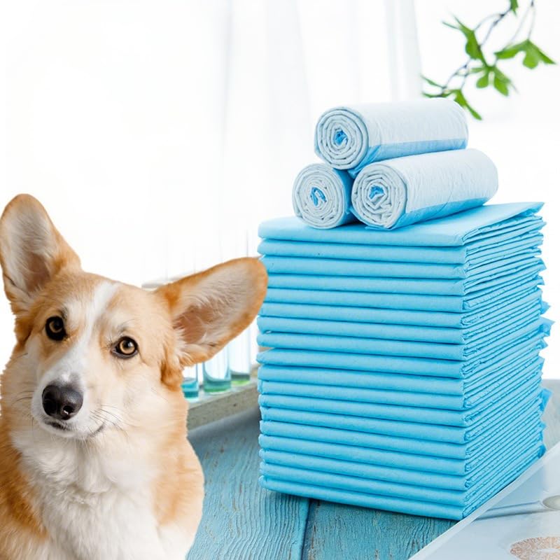 Absorbent Disposable Dog & Cat Training Pads