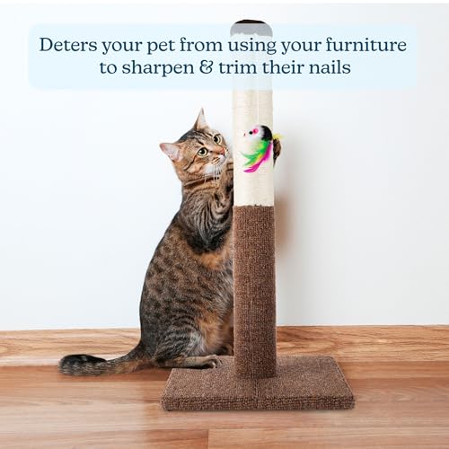 Cat Scratching Post (Brown)