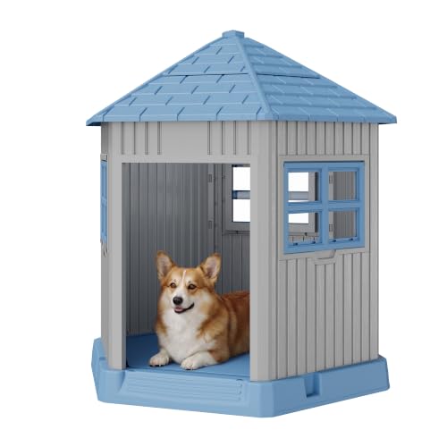 Outdoor Dog House for Small Medium Dogs (Blue-Grey)