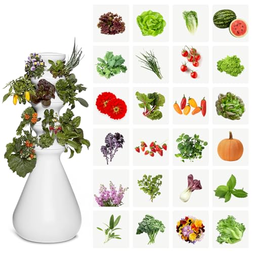 Farmstand Outdoor Starter Kit (24 Seedlings / Outdoor With Seedlings)