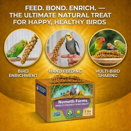 Spray Millet Edible Tops Only (5 Pound (Pack of 1))