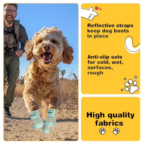 Dog Shoes for Dogs (Green / Width 2.36 in)