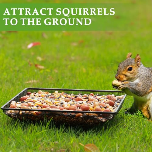 Ground Bird Feeder Tray 11x11 Inches (11x11 inches (1 pack))