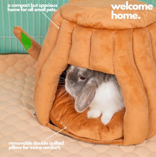 Guinea Pig Hideout & Bed (Small)