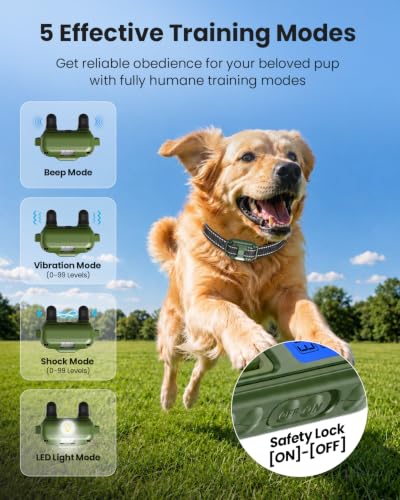 Dog Shock Collar (for 2 dogs (D8 Green))