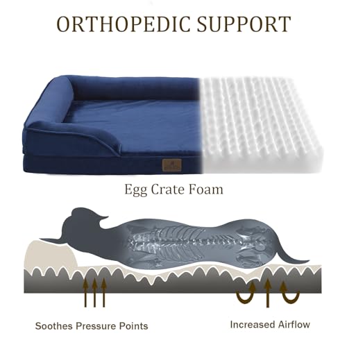 Orthopedic Dog Bed (24.0"L x 18.0"W x 6.0"Th / Navy Blue)