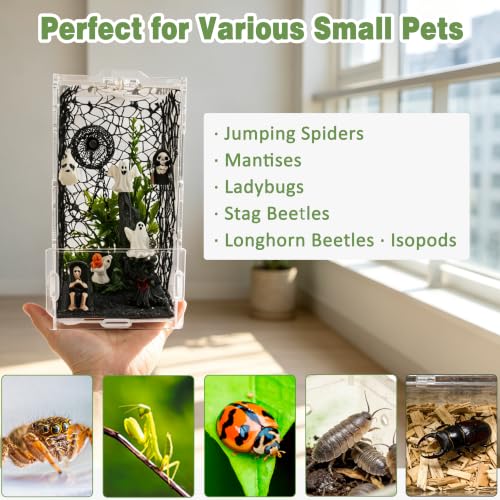 20PCS Acrylic Jumping Spider Enclosure Kit (Green-Scandi style)