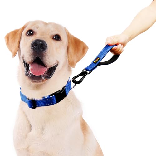 Short Dog Leash with Padded Handle for Medium Large Dogs (Royal Blue / 10 Inch (Pack of 1))