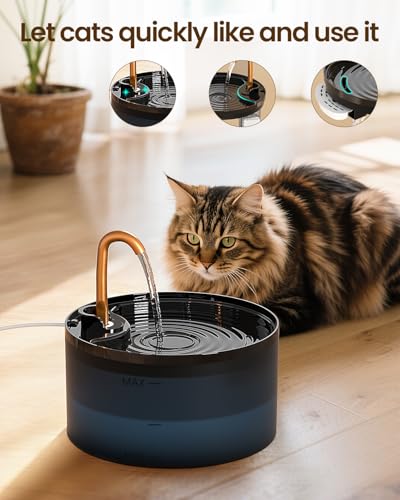 Cat Water Fountain with 6