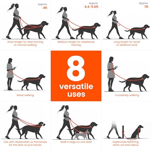 Multifunctional Adjustable Hands Free Leash (Black / Standard)