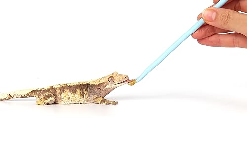2Pcs Blue Reptile Feeding Spoon (1 Ounce (Pack of 2))