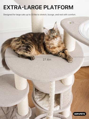 Cat Tree for Large Cats (Beige-01 / 65'')