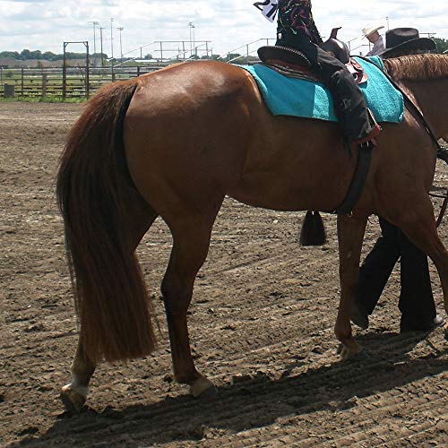 Horse Tail Extensions with Braided Horsehair Loop (1 LB (34"-36") / Med Sorrel)
