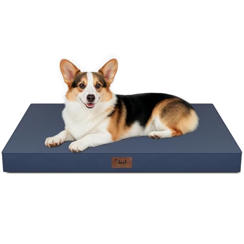 Outdoor Waterproof Orthopedic Dog Bed for Large Dogs (Navy / 36.0"L x 27.0"W x 3.0"Th)